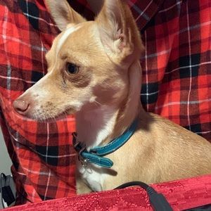 Meet your Posher, Jan mark